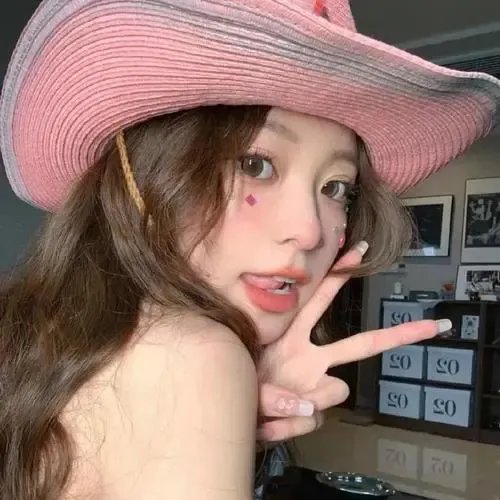 岁岁年年柿柿红